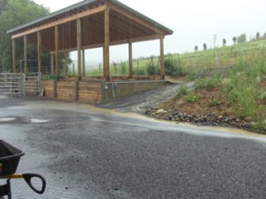 I parked my car under the composter and hoped it would survive the hurricane.