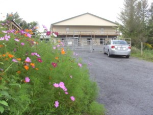The new car at the barn.