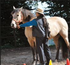 Alex rope handling German clinic