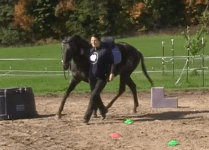 Harrison  trot sequence pretty