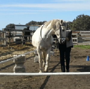 Sebastian Si after fall 2014