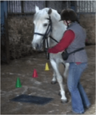 coronel crowding lisa futsal