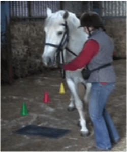 coronel crowding lisa futsal