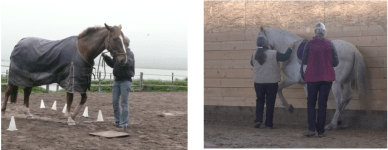 Fred Icky  futsal article