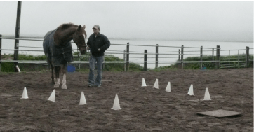 fred in funnel futsal