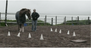 fred in funnel futsal