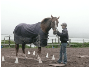 fred near mat futsal article