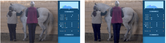 icky piaffe contrast 2 shots for futsal