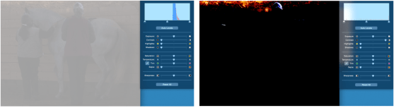 icky piaffe contrast 2 shots