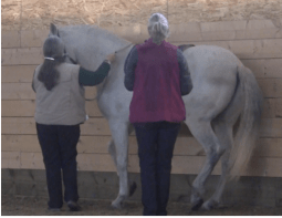 icky piaffe for futsal article 1