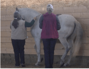 icky piaffe for futsal article 1