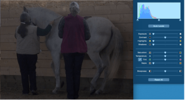 icky piaffe for futsal article 2