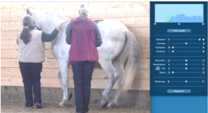 icky piaffe for futsal article low exposure