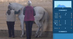 Icky piaffe little exposure rgt