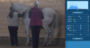 icky piaffe little exposure