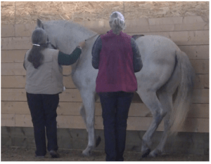 Icky piaffe! original for futsal