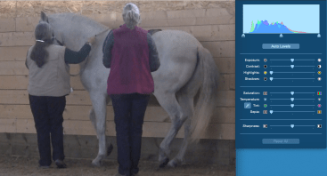 Icky piaffe + photo adjust 1