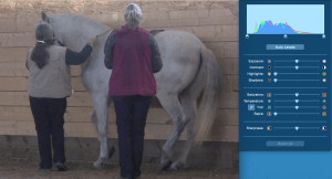 Icky piaffe + photo adjust 1