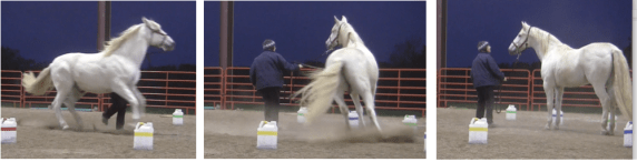 meranero 3 shots for futsal