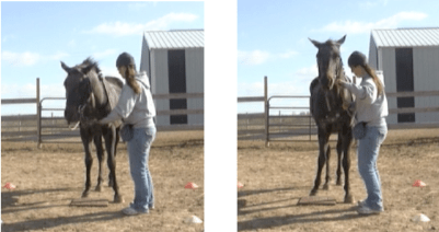Natalie Harrison mat 2 shots for futsal