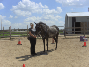 natalie harrison on mat futsal
