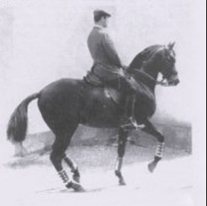 Nuno Olivievro piaffe