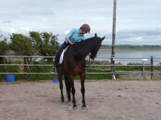 P1070994 newby ridden get treat