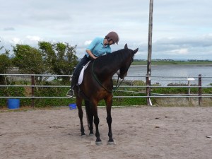 P1070994 newby ridden get treat
