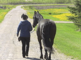 Shannon whisper country lane
