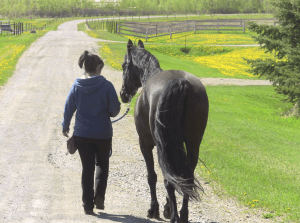 Shannon whisper country lane