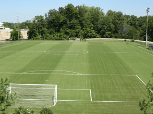 soccer field