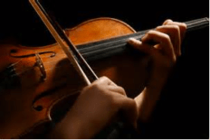 violin