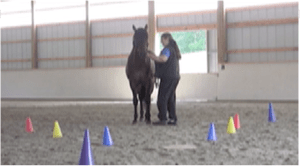 Vt mat funnel for futsal