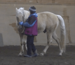 Bonanza nose target 3