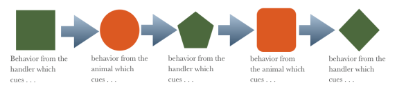 cue behav cue communication graphic
