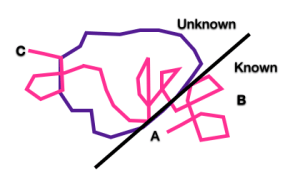 Uri Alon 3 known unknown