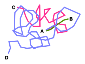 Uri Alon confusing mess 2 abcd