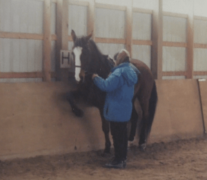 Peregrine 1993 Spanish walk