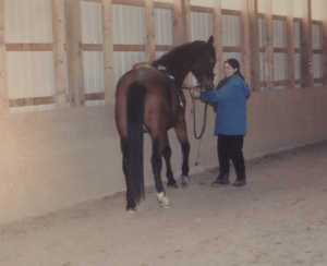 Peregrine in hand cropped