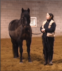 Nikita grown ups edited