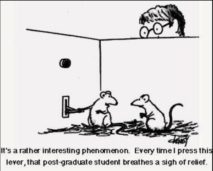 rat lever press cartoon