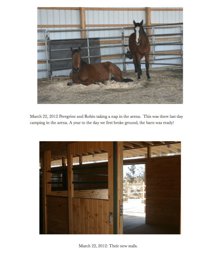 Indy 29 Peregrine napping