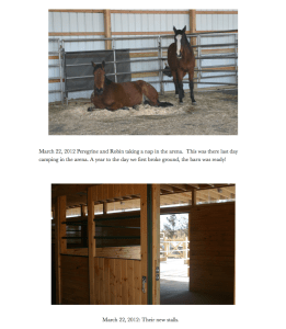 Indy 29 Peregrine napping