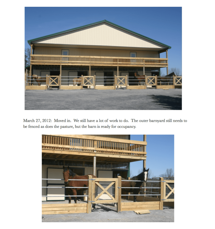 Indy 31 horses moved in