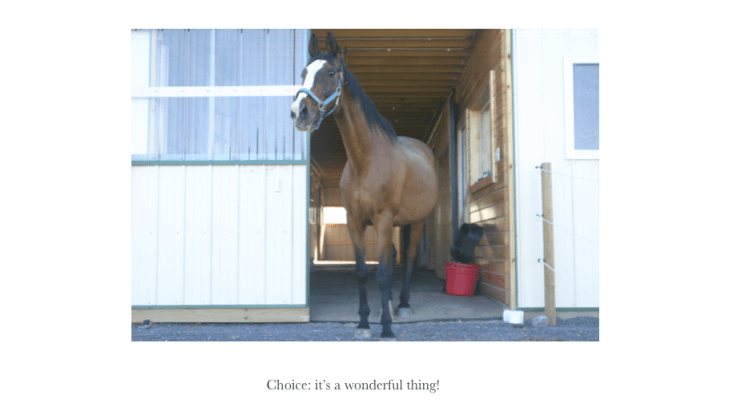 Indy 34 Choice Pg by door