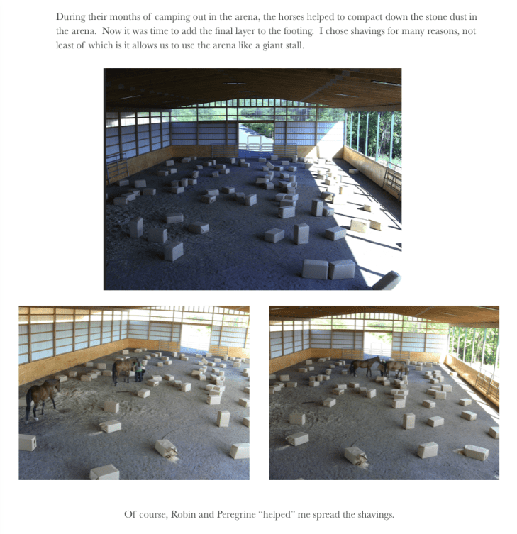 Indy 38 shavings bags