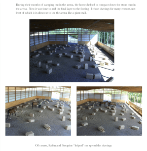 Indy 38 shavings bags