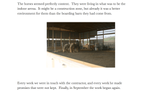 Indy 9 Fengus in arena