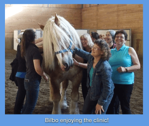 Bilbo enjoying the clinic