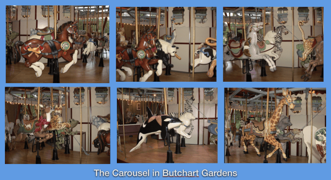 carousel butchart 2